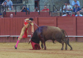 AWP Delighted as MEPs vote to end EU subsidies for Bullfighting