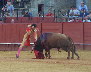 bullfighting