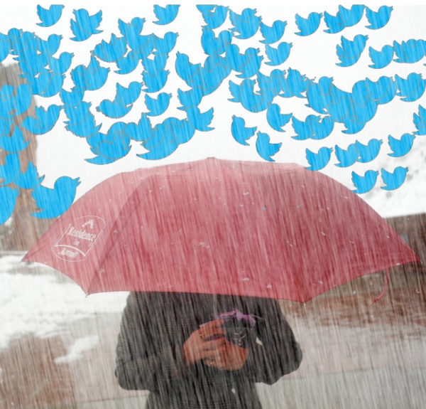 Tweet Storm! Get involved to raise awareness and funds for AWP