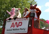 Animal Welfare Party Battle Bus Takes to the Streets of Tower Hamlets in Final Days of Mayoral Election Campaign
