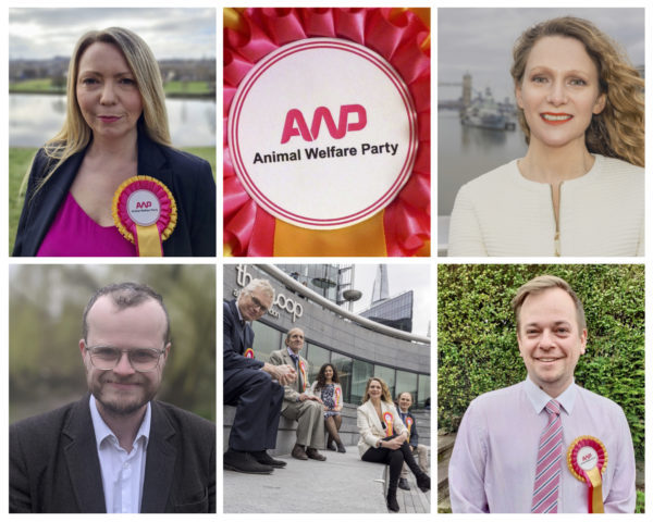 AWP Standing in London Mayoral, Assembly & Scottish Parliament Elections