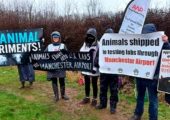 AWP Holds Third Demo outside Manchester Airport Protesting Involvement in Animal Testing