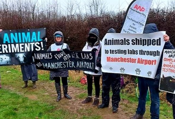 AWP Holds Third Demo outside Manchester Airport Protesting Involvement in Animal Testing