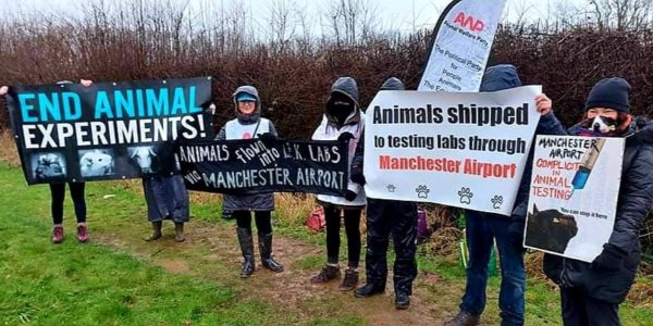 AWP Holds Third Demo outside Manchester Airport Protesting Involvement in Animal Testing