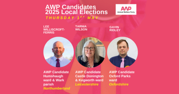 Animal Welfare Party to Stand Three Candidates in 2025 Local Elections